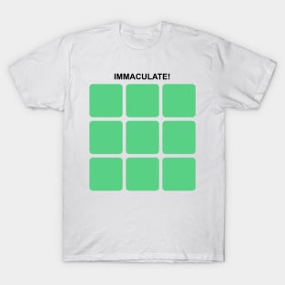 Immaculate Grid Baseball T-Shirt